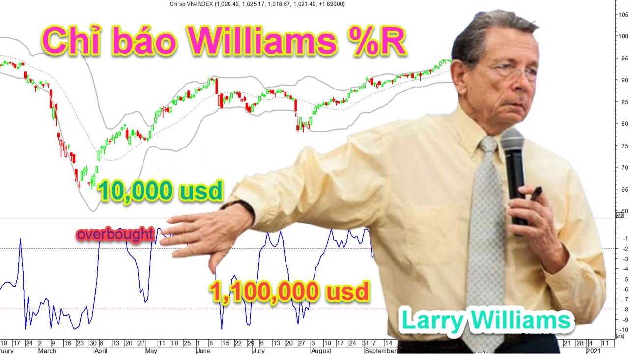 Chỉ báo Williams Percent Range trong việc phân tích cổ phiếu