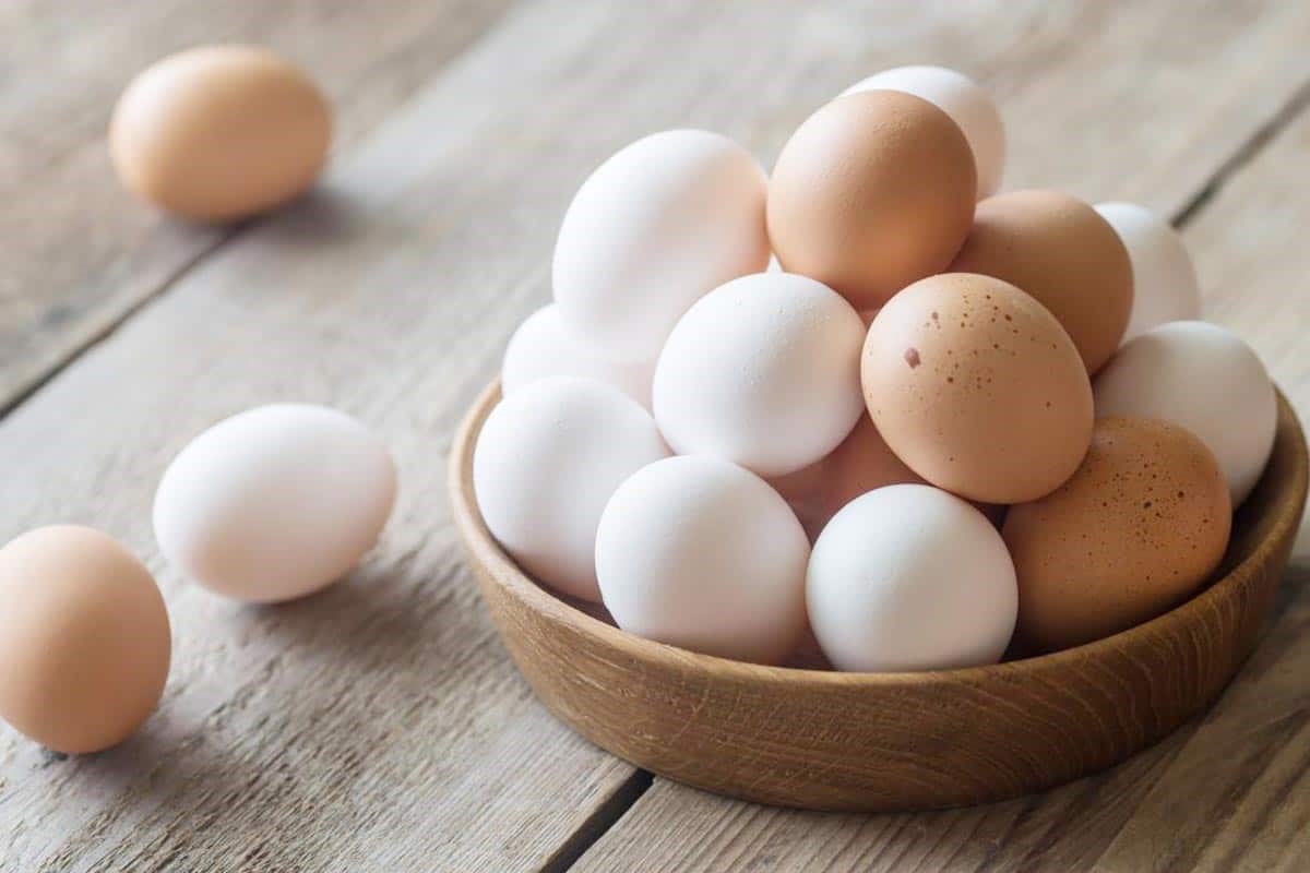 Trứng giàu protein