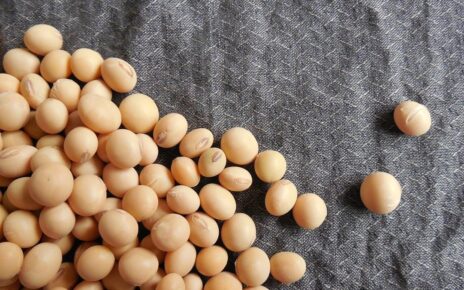 TOP 7 lợi ích thần kỳ của hạt đậu nành đối với sức khỏe