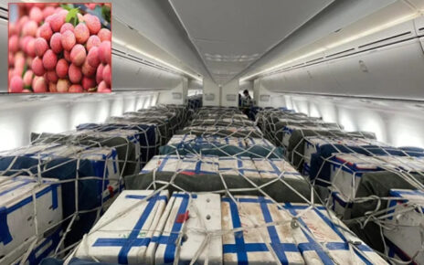 Vietnam Airlines hỗ trợ vận chuyển 10 tấn vải thiều Bắc Giang đi Nhật
