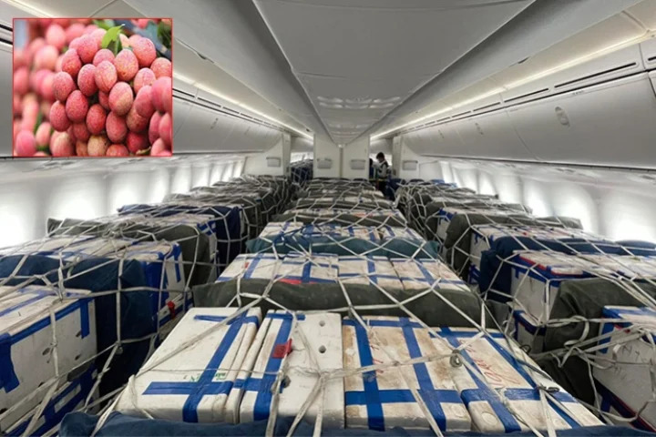 Vietnam Airlines hỗ trợ vận chuyển 10 tấn vải thiều Bắc Giang đi Nhật